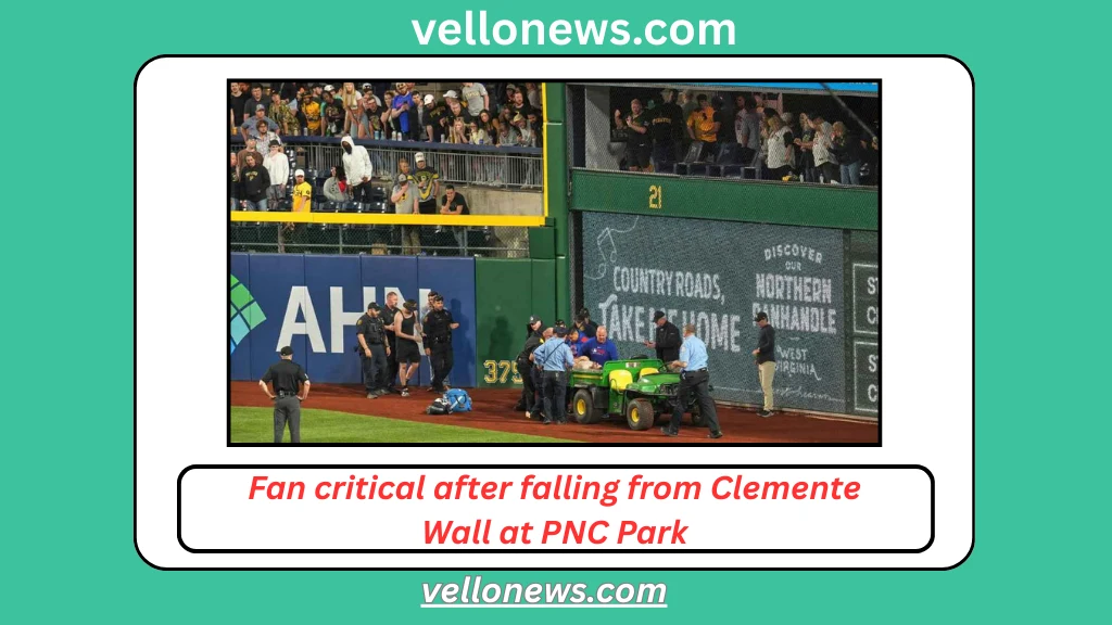 Fan Falling at Pirates Game