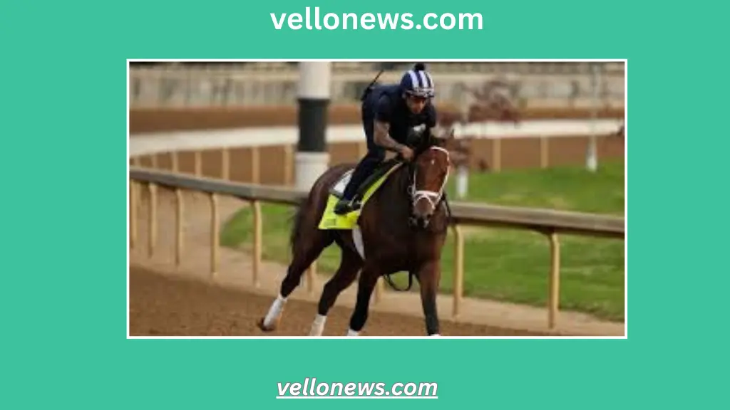 Horses in the Kentucky Derby 2025