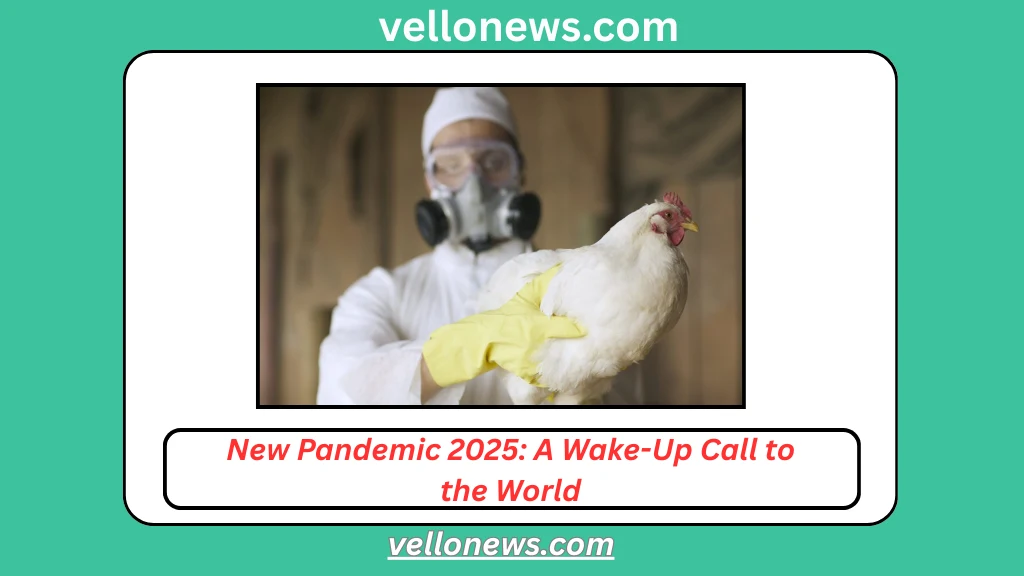 New Pandemic 2025